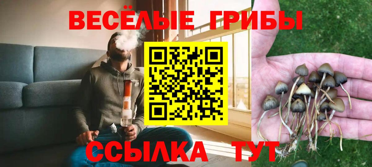 Псилоцибиновые грибы GOLDEN TEACHER  Галлюциногенные грибы GOLDEN TEACHER  Майский  Вход с VPN 